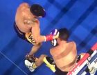 Василий Ломаченко нокаутировал Кролла и сохранил два чемпионских пояса Василий Ломаченко нокаутировал Кролла и сохранил два чемпионских пояса