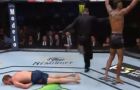 За 15 секунд до конца боя Дэвис «вырубил» Гиффорда на UFC (Видео) За 15 секунд до конца боя Дэвис «вырубил» Гиффорда на UFC (Видео)