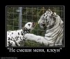 Не_сМеши_мЕня_кЛоун ava