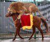 ava