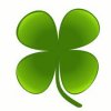 Shamrock ava