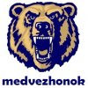 medvezhonok ava