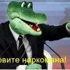 Dolboyob ava