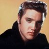 Elvis_Presli ava