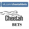 CheetahBets ava