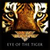 Eye of the tiger ava