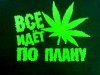 brestchanin ava