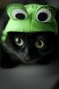 ava
