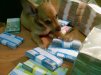 ava