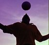 ava