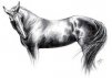 KingHorse ava