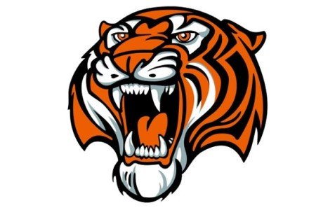 bet bet