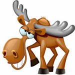 bet