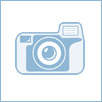 bet