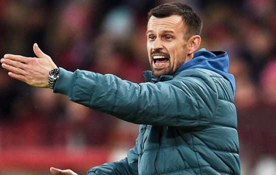 Болельщики Зенита выступают за назначение Семака на пост главного тренера