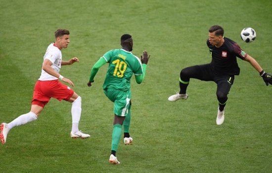 Польша – Сенегал: голы, видеообзор матча