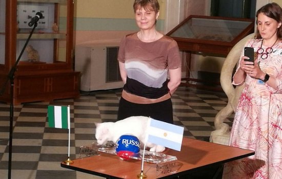 Кот Ахилл предсказал победу Нигерии над Аргентиной в матче ЧМ-2018