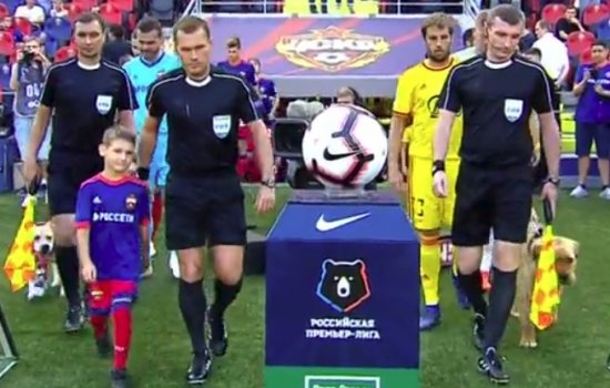 Матч ЦСКА и Арсенала открыла бездомная собака