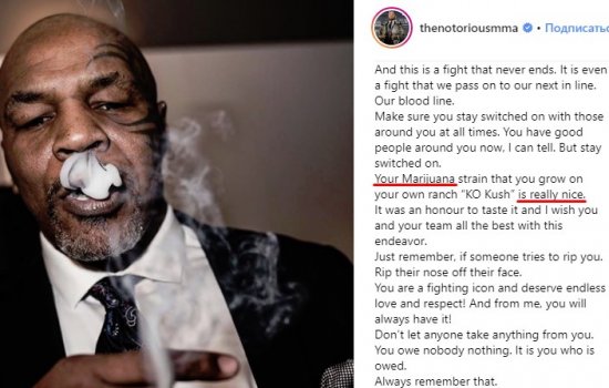 Макгрегор признался, что отведал марихуаны Майка Тайсона (Фото)