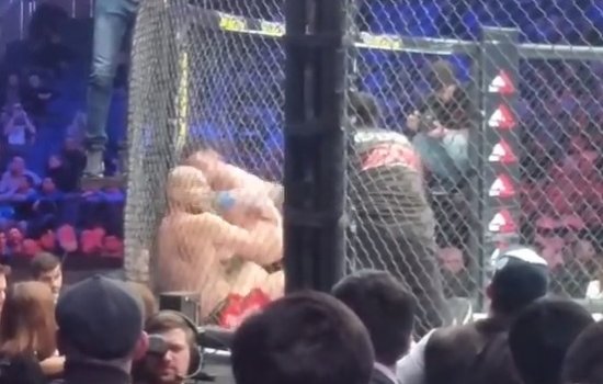 Российский боец ММА Нагибин ударил исподтишка Караханяна и был дисквалифицирован (Видео)