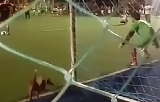 Маленькая собака случайно «помогла» вратарю во время пенальти (Видео)