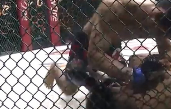 Индонезийский боец ММА Аде Пермана совершил «брутальный» нокаут коленом (Видео)