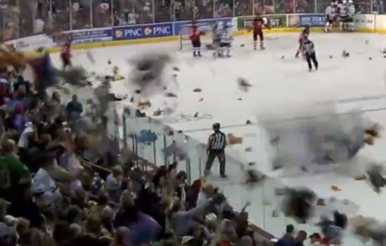Во время хоккейного матча на лед полетело 35 тысяч мягких игрушек - рекорд (Видео)