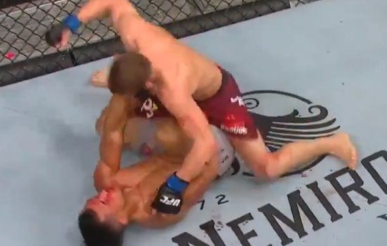 Петр Ян нанес бразильцу Силве страшный кровавый урон (Видео)