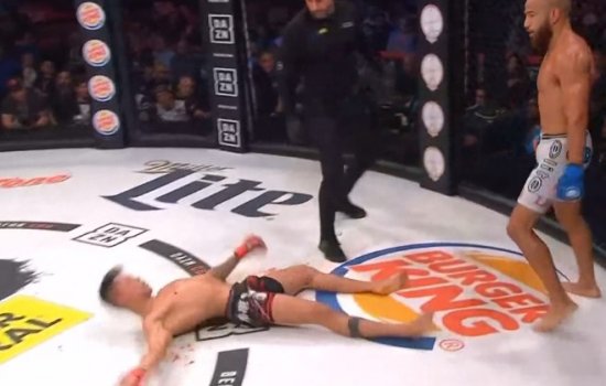 Арчулета отправил Дантаса в глубочайший нокаут (Беллатор 222)