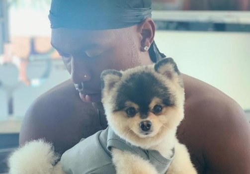 Дэниелу Старриджу вернули украденную собаку