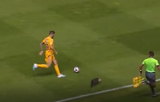 Кот выбежал на поле во время матча MLS и помешал футболистам (Видео)