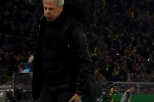 Тренер дортмундской «Боруссии» Люсьен Фавр получил травму во время празднования гола (Видео)