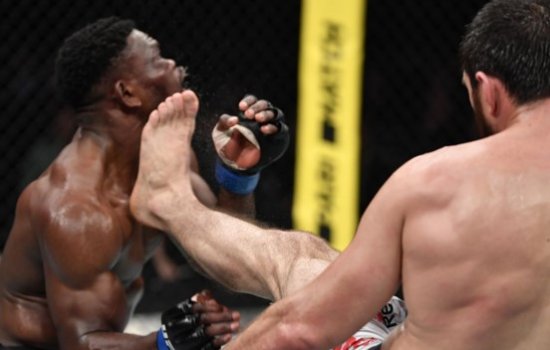 Анкалаев красиво нокаутировал Лунгиамбулу на UFC (Видео) Анкалаев красиво нокаутировал Лунгиамбулу на UFC (Видео)