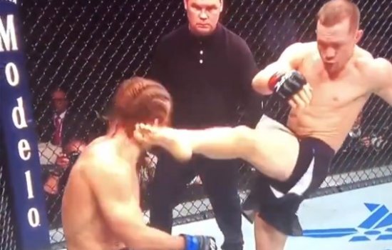 Петр Ян одержал 6-ю победу подряд в UFC (Видео)