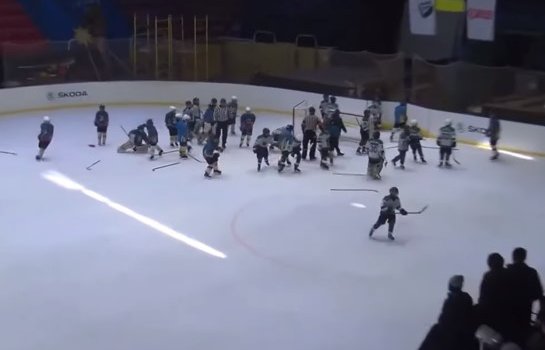 Украинский хоккейный тренер принял участие в массовой драке (Видео)
