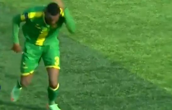 В Танзании на футболистов напал рой диких пчел (Видео)