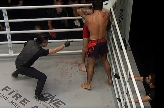 Магомедалиев стоя задушил американца Пиротти на турнире «ONE» (Видео)