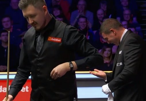 В Англии пчела ужалила судью на турнире по снукеру (Видео)