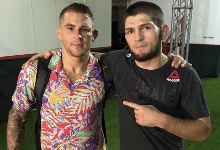 Порье готов заменить Хабиба в титульном поединке на UFC 249 Порье готов заменить Хабиба в титульном поединке на UFC 249