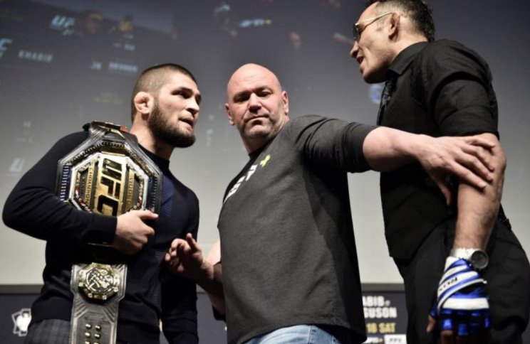 UFC 249 все-таки перенесли, Хабиб оказался прав