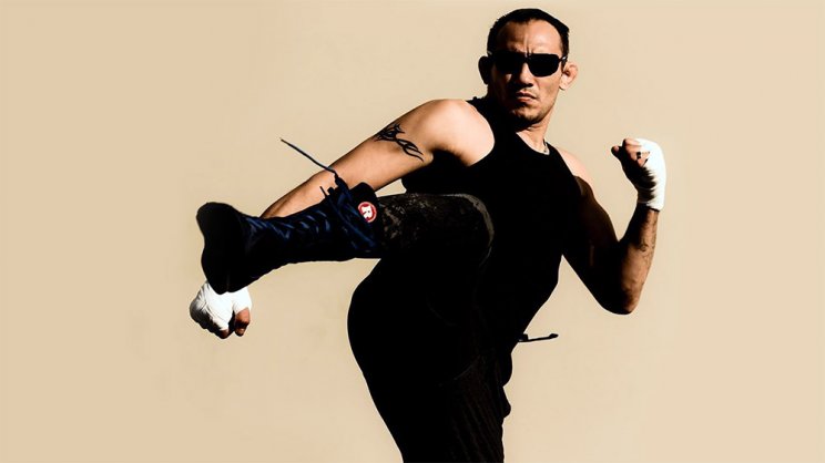 Фергюсон назвал Хабиба «собакой, которая поджала хвост»