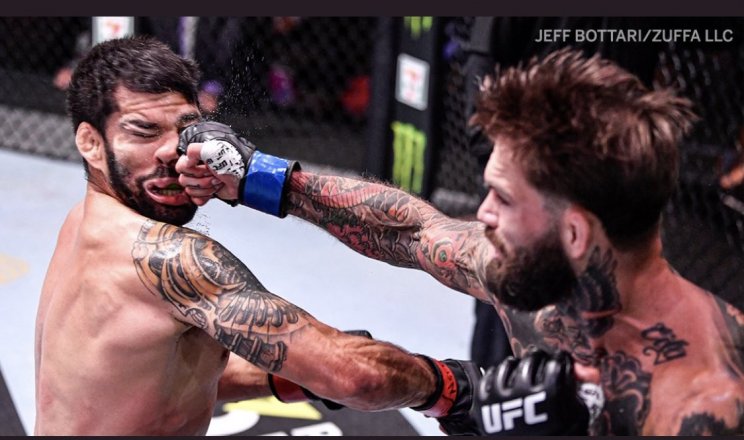 37-летнего бразильца нокаутировали за 1 секунду до гонга (UFC, видео)