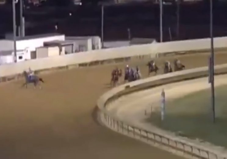 Курьез на скачках: конь перед финишной прямой побежал «домой» (Видео)