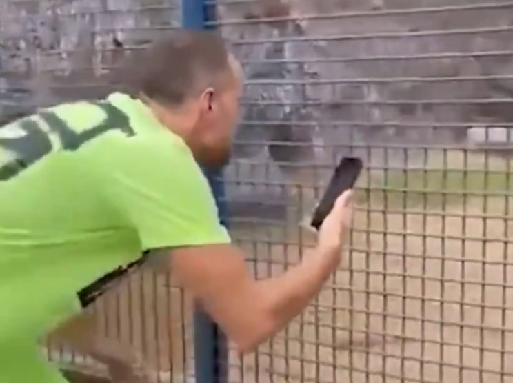 Дзюба на сборах в Дубае был атакован обезьяной - нечего дразнить (Видео)