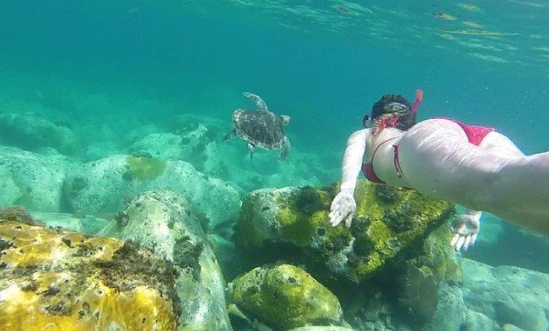 Микела Мойоли: горячие Инстаграм фото чемпионки (сноуборд) Микела Мойоли: горячие Инстаграм фото чемпионки (сноуборд)