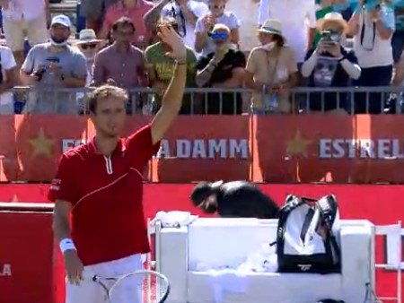 Медведев победил Рууда и вышел в 1/2 финала турнира в Мальорке Медведев победил Рууда и вышел в 1/2 финала турнира в Мальорке