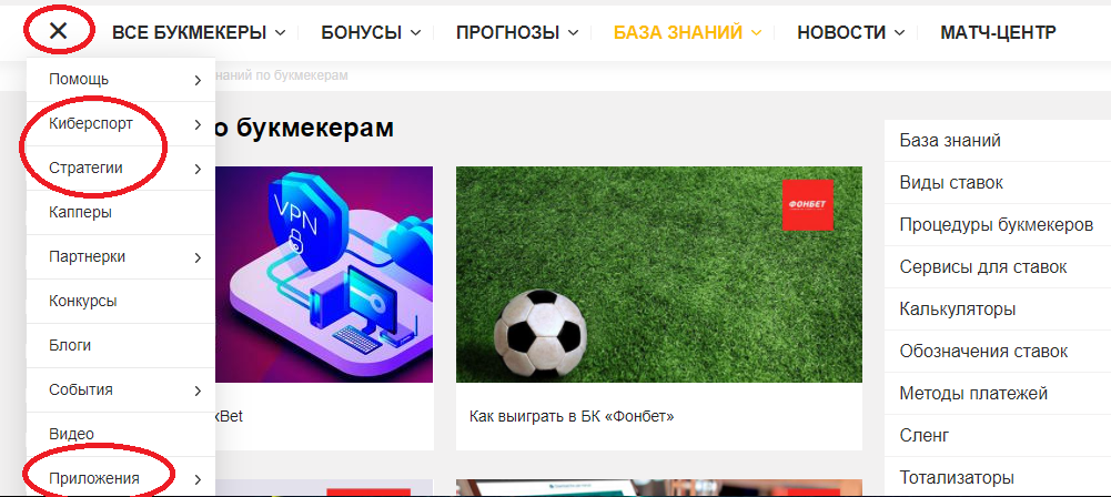 Дополнительные разделы знаний Дополнительные разделы знаний