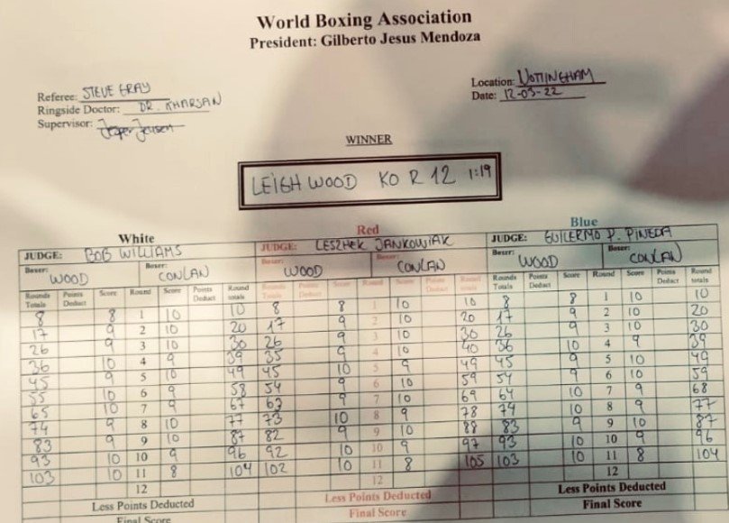 Ли Вуд нокаутировал Конлана, выбив соперника с ринга (WBA, видео) Ли Вуд нокаутировал Конлана, выбив соперника с ринга (WBA, видео)