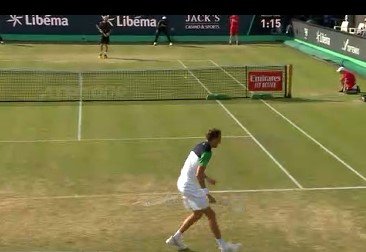 Медведев обыграл Маннарино и вышел в финал турнира в Хертогенбоше